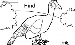 Hayvan Renklendirme Hindi Resimler Sayfa Boyama