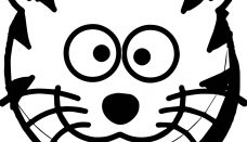 Kedi Surat Kaplan Boyama Sayfası